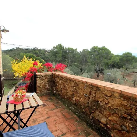Leon Inmo Besa - 15735 Holiday home Vilajuiga
